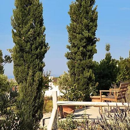 Christou Estate&Villas Pyrgos Kallistis Exterior foto